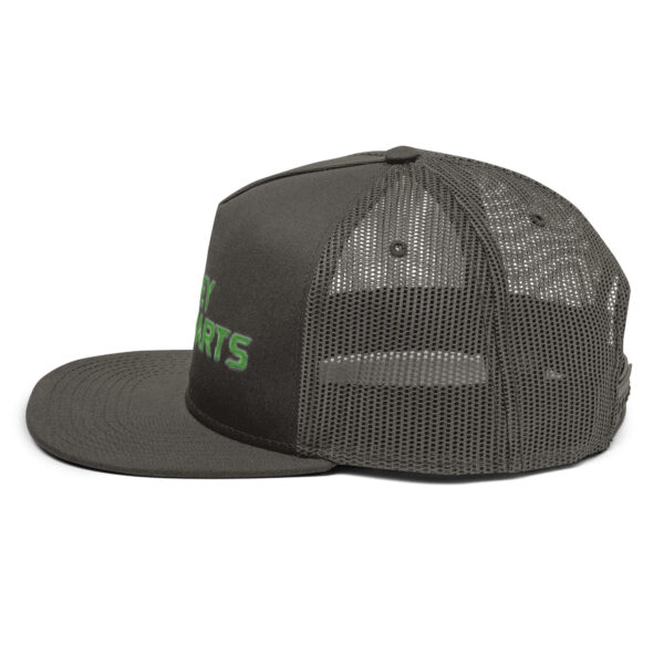 Money Smarts Mesh Back Snapback - Image 3